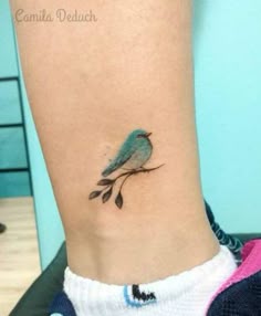 21 Bluebird tattoos ideas | bluebird tattoo, birds tattoo, tattoos