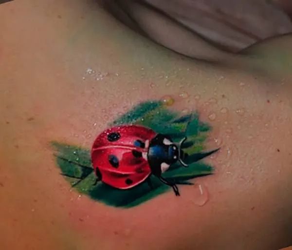 210+ Magnificent Ladybug Tattoos Designs (2024)