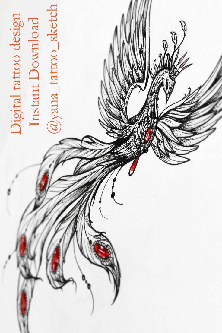 Phoenix Tattoo Design Phoenix Tattoo Feminine Black Phoenix Tattoo Sketch Phoenix  Tattoos For Women