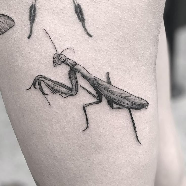 Pin by Cynthia Judd on Tattoos | Insect tattoo, Bug tattoo, Funky tattoos