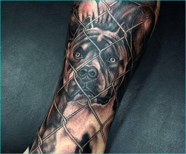 25 Pitbull Tattoo Ideas for Men and Women