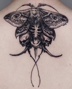 53 Moth tattoos ideas to save today | moth tattoo, tattoos, traditional  tattoo and more
