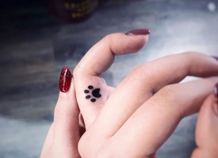 30 Best Cat Paw Print Tattoo Designs - The Paws