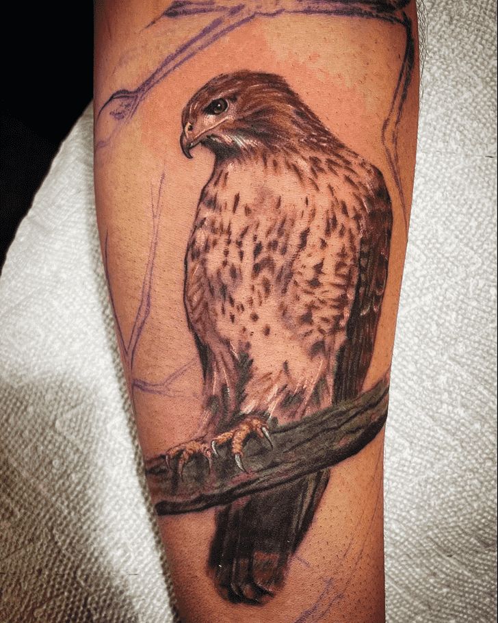 Hawk Tattoo Design Ideas Images