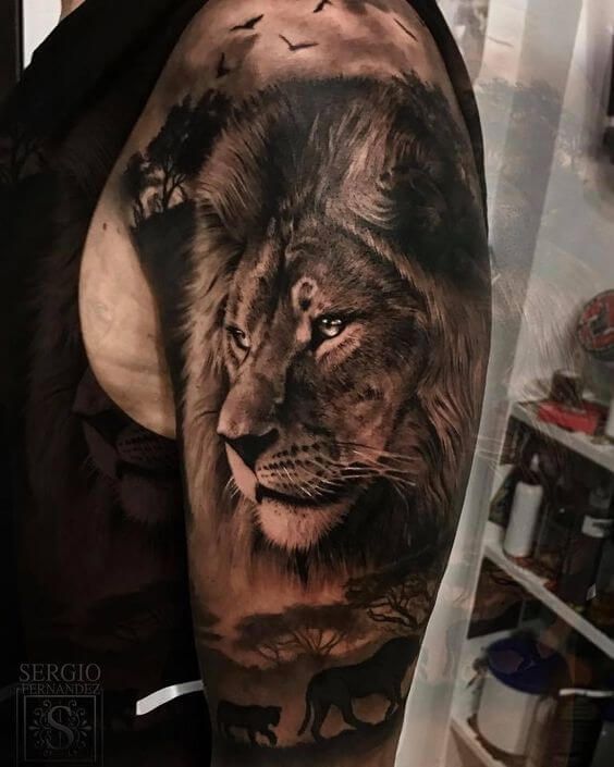 15+ Best Lion Tattoo Designs For Men