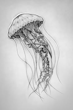 Discover 340 Jellyfish Tattoos and jellyfish tattoo ideas | tattoos, jellyfish, cool tattoos and more