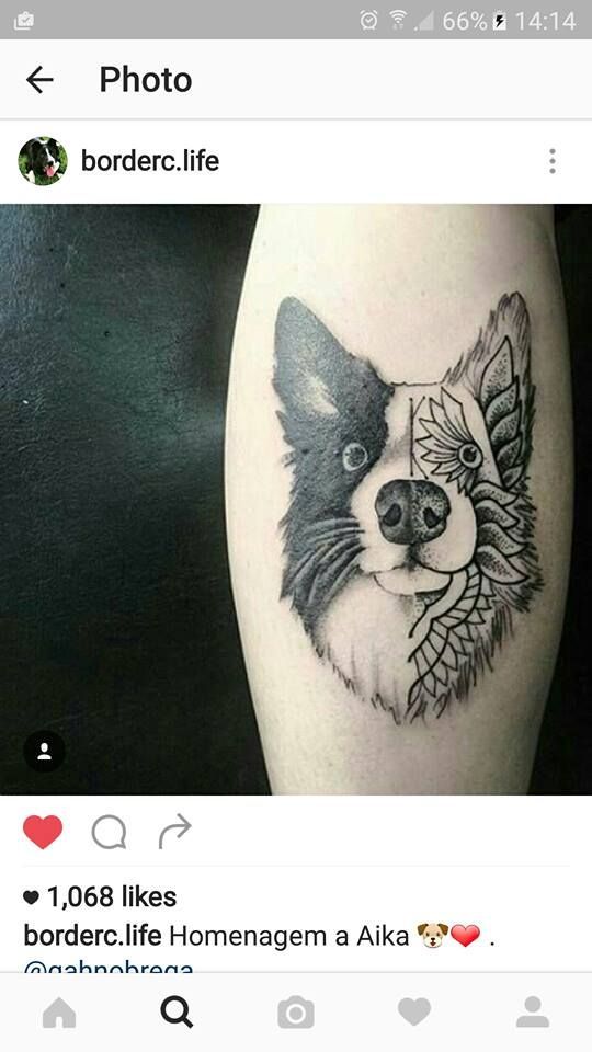 Resultado de imagem para border collie tattoo