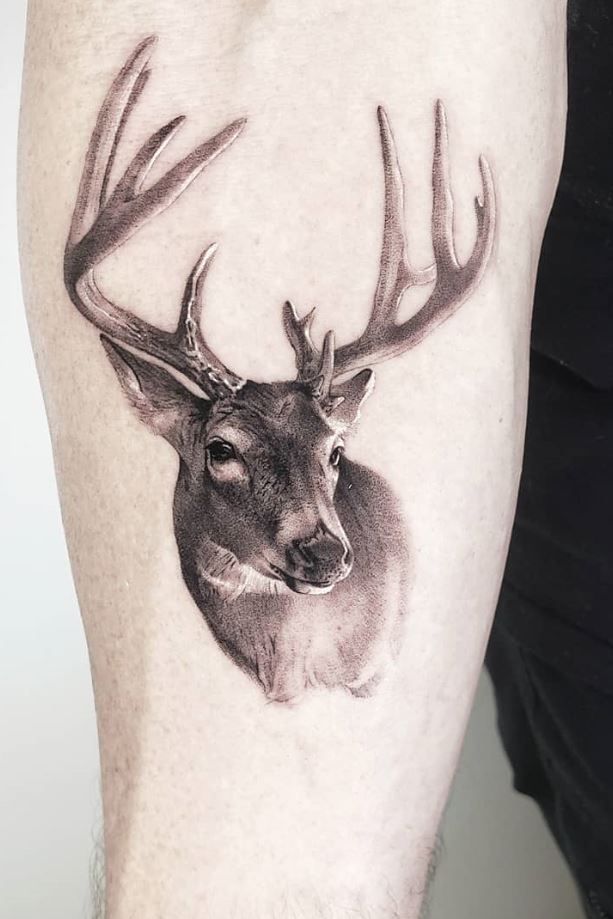Awesome Deer Tattoo - TattMania