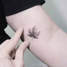 42 Canadian/Kiwi tattoo ideas | tattoos, fern tattoo, tattoo designs