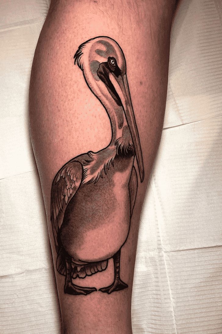 Pelican Tattoo Design Ideas Images
