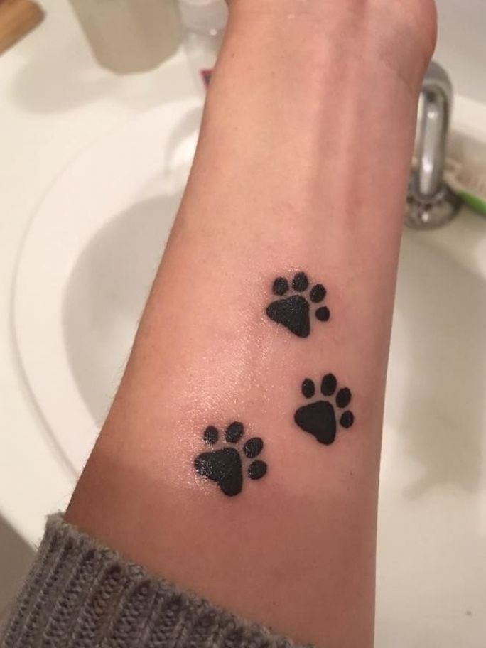 Paw print tattoo small wrist forearm | Tattoos | Forearm tattoos, Small  tattoos, Lillies tattoo