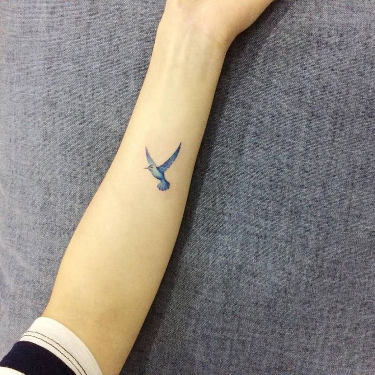 Watercolor style bluebird tattoo on the forearm.