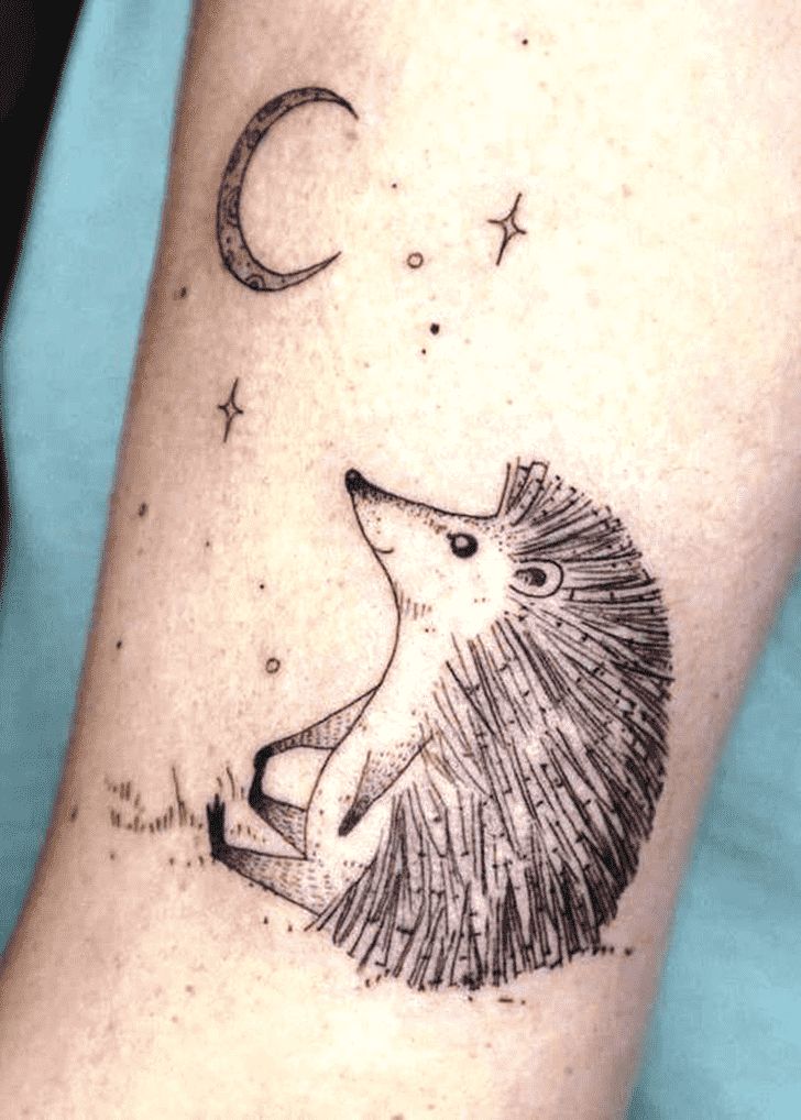 Hedgehog Tattoo Design Ideas Images