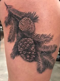 Discover 38 Pinecone Tattoo and Pine Tattoo Ideas | branch tattoo, tree  branch tattoo, lodgepole pine tattoo and more