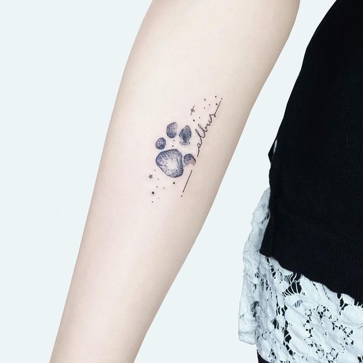 26 Adorable Paw Print Tattoo Ideas for Men & Women in 2024
