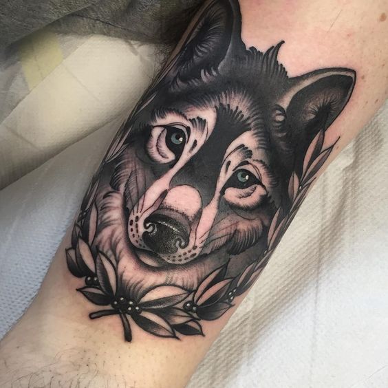 24 Siberian Husky Tattoo Designs For Men and Women