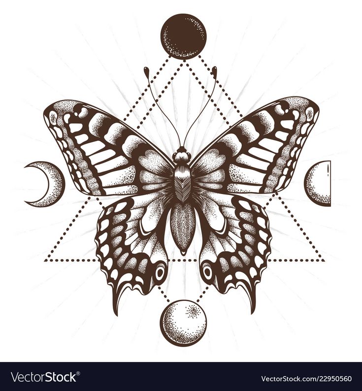 Pin by Lenita Olsen on tattoo in 2025 | Butterfly tattoo designs, Mens butterfly tattoo, Moon