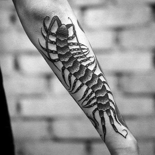 50 Centipede Tattoo Designs for Men