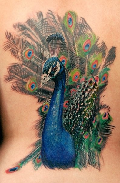 Peacock Tattoos And Meanings-Peacock Feather Tattoos And Meanings-Peacock  Tattoo Designs