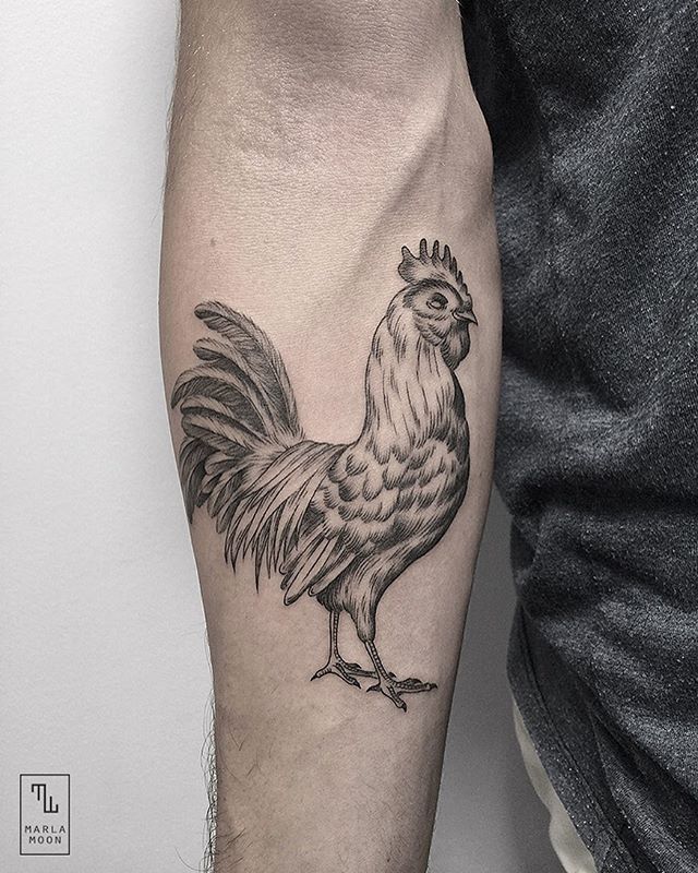 7 Tattoo Ideas | rooster tattoo, tattoos, chicken tattoo