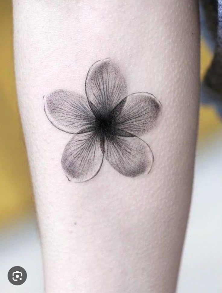Pin by Nikky Hinton on tattoo ideas in 2025 | Plumeria tattoo, Flower cover  up tattoos,