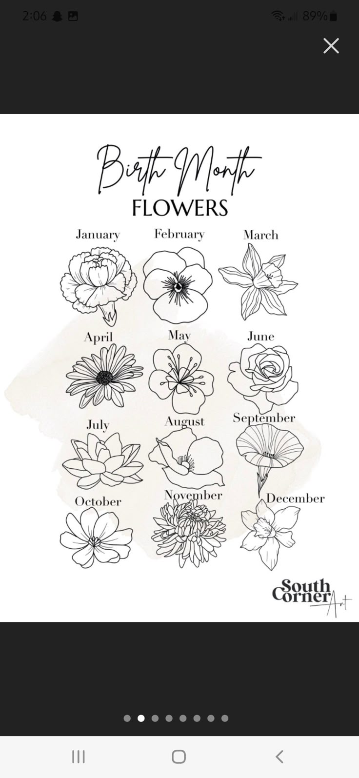 Pin by Frances Hague on tattoo's | Birth flower tattoos, Daisy flower  tattoos, December flower tattoo
