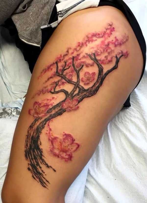 cherry blossom