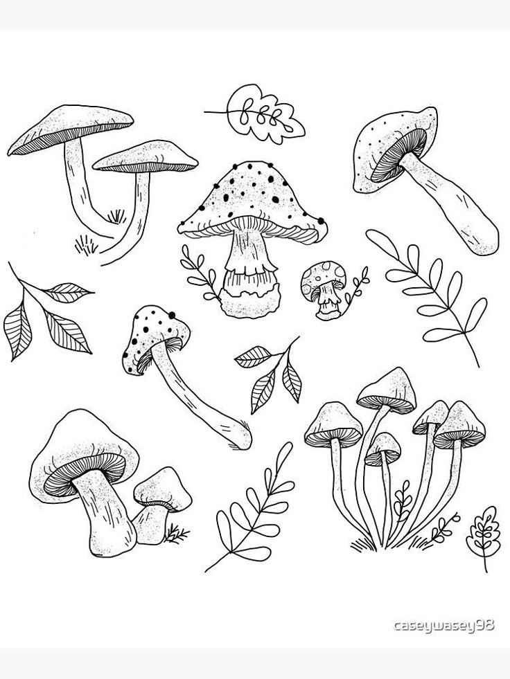 240+ Radiant Mushroom Tattoos Ideas and Designs (2024)