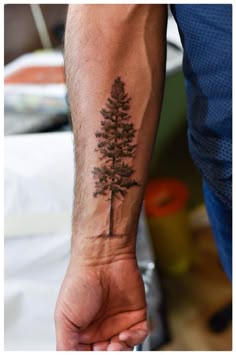 9 Tree ideas | tree tattoo designs, tree tattoo, pine tree tattoo