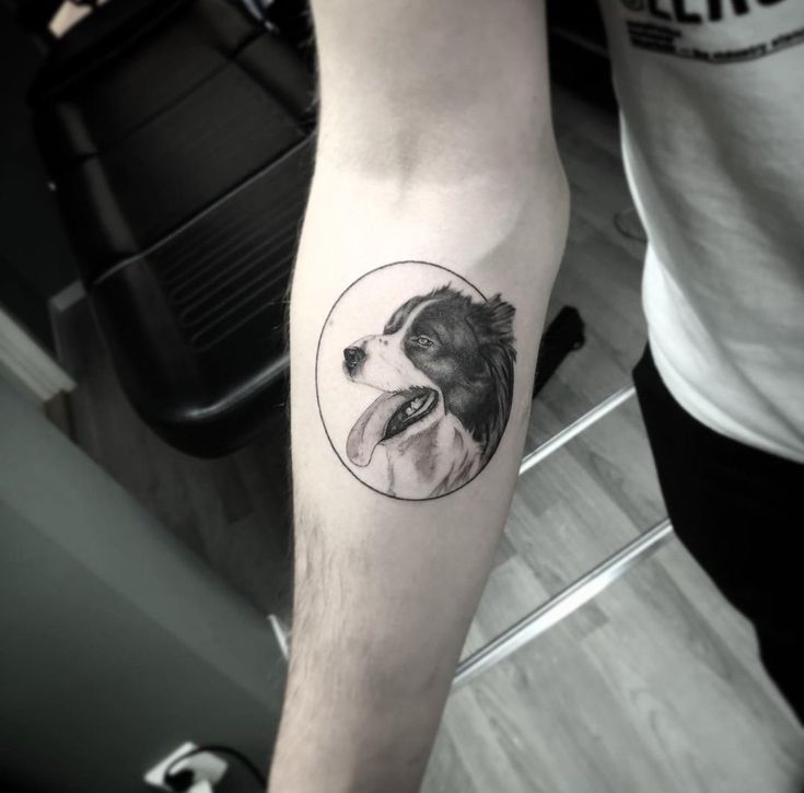 19 Border Collie Tattoo Ideas