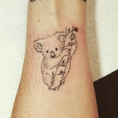 Discover 33 Koala and Baby Koala Ideas | australian animals, koala tattoo,  pandas, the wombats and more