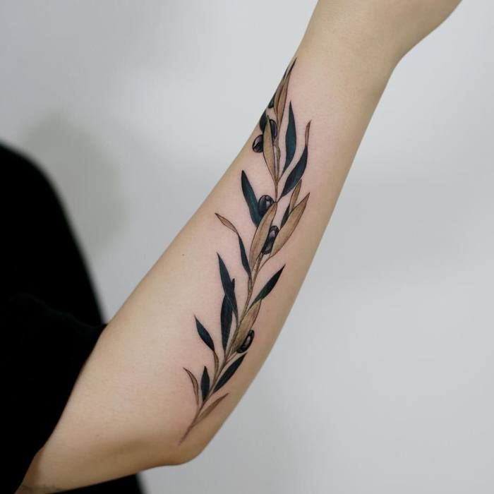 25 Splendid Olive Branch Tattoo Designs - TattooBloq | Olive tattoo, Branch tattoo, Olive branch tattoo