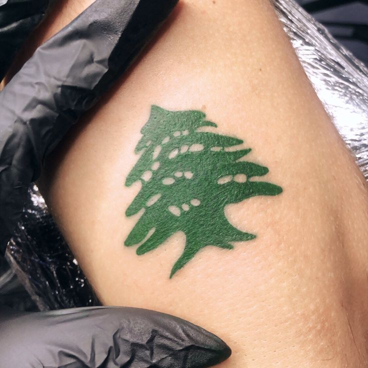 Pin by MATAR Raphaël on Tattoos | Tattoos for guys, Tree tattoo, Tattoos