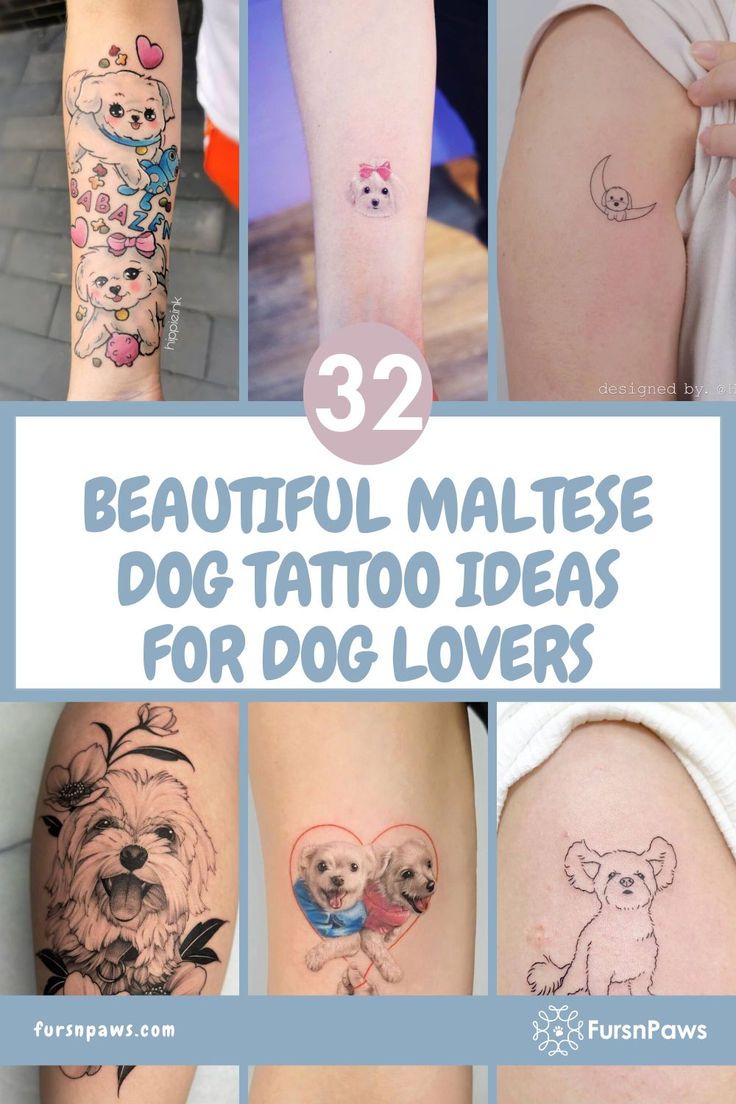 32 Beautiful Maltese Dog Tattoo Ideas For Dog Lovers