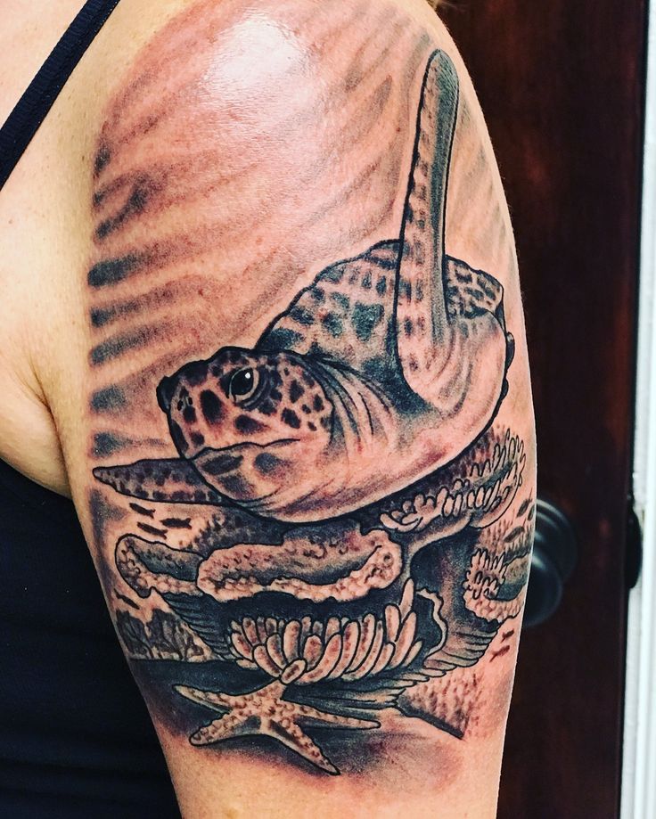 Sea turtle tattoo; coral reef, grey and black, swimming perspective