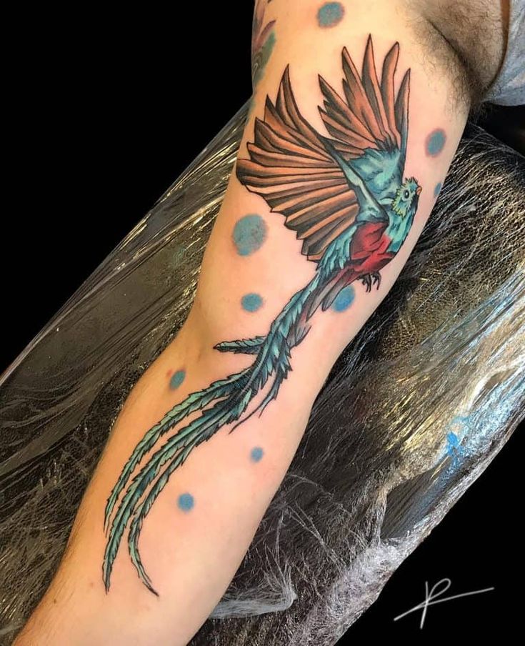 80 Intriguing Quetzal Tattoo Ideas