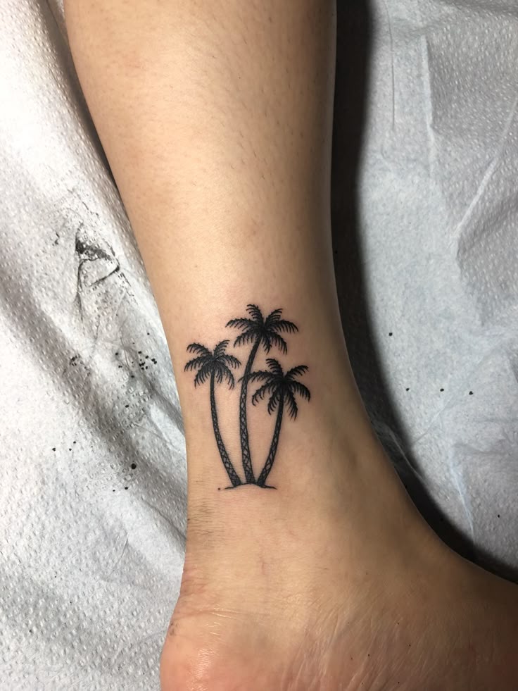 Palm tree 🌴 Thank you Florida for the memories ❤️