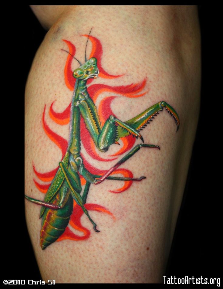 Praying Mantis tattoo