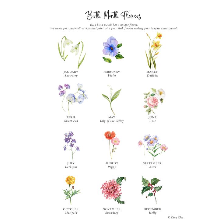 Botanical Family Tree Print