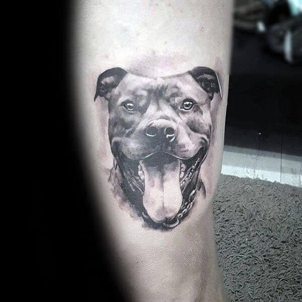 25 Pitbull Tattoo Ideas for Men and Women