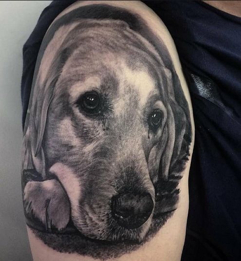 The 14 Most Realistic Labrador Retriever Tattoos Ever